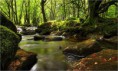 /album/fotogaleria/exmoor-np-jpg/