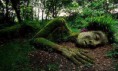 /album/fotogaleria/grasslady-jpg/