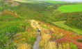 /album/fotogaleria/south-west-coast-path-jpg/